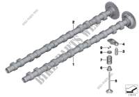 Timing and valve train camshaft for BMW 535dX 2010